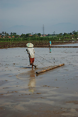 포토 JPG 해외이미지 식물 아시아 농업 자연 밥 열대 산 동양인 풍경 사람없음 초록색 농장 오두막 낟알 땅 언덕 인도네시아 통조림 헛간 내추럴 논밭 밭일 판잣집 평야 해외202004 해외포토 나라 산업 음식 컬러 밭 주택 논 인종 생태계 저장고 파일형식 이미지허브