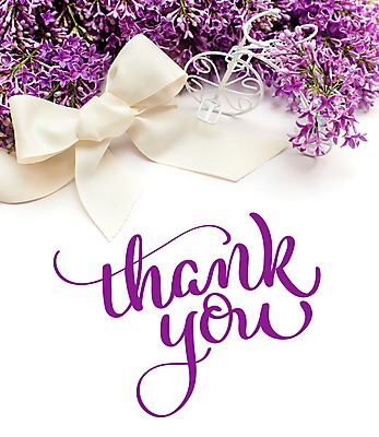 포토 JPG 해외이미지 리본 백그라운드 캘리그라피 사람없음 감사 라일락 해외202004 해외포토 꽃 감정 파일형식 이미지허브