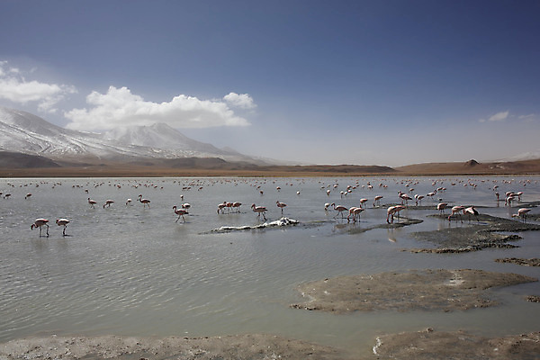 포토 JPG 해외이미지 구름 호수 여행 백그라운드 하늘 휴가 산 파노라마 사람 풍경 사람없음 야외 여름 관광지 세계 태양 반사 여행객 일출 미국 트래킹 거울 사막 자유 황무지 남아메리카 멀리 석호 무한 볼리비아 전국 해외202004 해외포토 자연요소 계절 컨셉 북아메리카 레저 촬영기법 아메리카 노을 파일형식 이미지허브