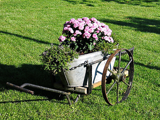 포토 JPG 해외이미지 식물 계절 꽃 꽃무늬 잔디 사람없음 장식 초록색 정원 수레 봄 시골 침대 바퀴 원예 조경 심기 해외202004 해외포토 컬러 가구 무늬 모션 취미 카트 파일형식 이미지허브
