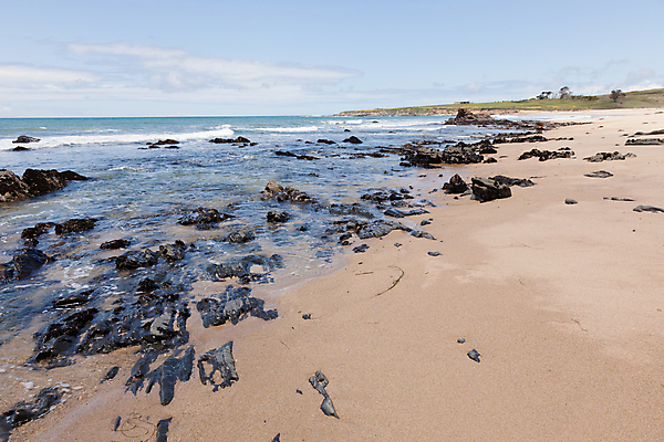 포토 JPG 해외이미지 주간 구름 해외풍경 바다 해변 사람없음 야외 미국 바위 캘리포니아 해외202004 해외포토 자연요소 해외 북아메리카 풍경 돌_바위 파일형식 이미지허브