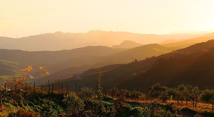 포토 JPG 해외이미지 여행 백그라운드 오렌지 자연 벽지 하늘 아침 날씨 산 풍경 사람없음 야외 빛 컬러풀 햇빛 태양 노란색 평화 일출 계곡 맑음 침묵 황혼 일몰 이탈리아 하이킹 광선 황금 야간 저녁 언덕 장면 천국 감탄 강렬 해외202004 해외포토 주간 자연요소 유럽 컬러 컨셉 과일 레저 노을 소리 생태계 파일형식 이미지허브