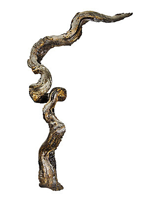 포토 JPG 해외이미지 나무 백그라운드 컨셉 자연 건조 사람없음 목재 장식 세로 회색 흰색 나뭇가지 닫기 고립 생태학 해외202004 해외포토 식물 교육 컬러 재료 모션 생태계 파일형식 이미지허브