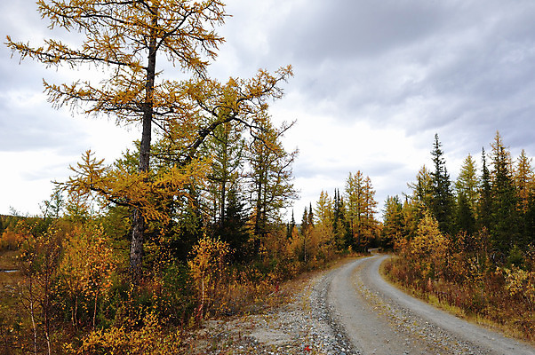 포토 JPG 해외이미지 나무 구름 계절 여행 잎 자연 하늘 산 풍경 사람없음 목재 노란색 침묵 가을 숲 땅 북극 언덕 러시아 장면 내추럴 삼림지대 해외202004 해외포토 자연요소 식물 유럽 컬러 재료 소리 극지방 생태계 파일형식 이미지허브