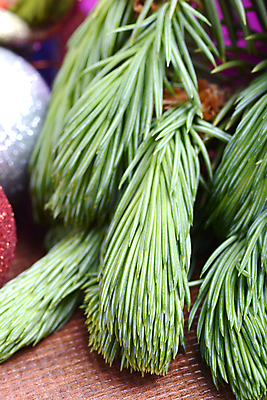 포토 JPG 해외이미지 나무 전통 디자인 계절 백그라운드 크리스마스 겨울 공 자연 휴가 새로움 기념 사람없음 장식 초록색 빛 축제 흰색 나뭇가지 축하 소나무 황금 야간 숲 12월 연도 묘사 질감 솔방울 상록수 침엽수 전나무 내추럴 2016년 고립 광 가문비나무 해외202004 해외포토 자연요소 식물 기념일 컬러 컨셉 날짜 생태계 파일형식 이미지허브