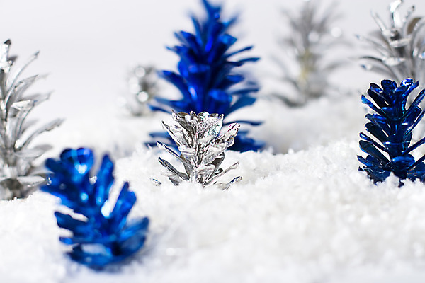 포토 JPG 해외이미지 나무 식물 공원 유럽 별 백그라운드 크리스마스 겨울 자연 추상 휴가 새로움 털 사람없음 야외 장식 세로 파란색 환경 얼음 검은색 추위 흰색 나뭇가지 인사 소나무 가시 숲 연도 심볼 서리 러시아 상록수 침엽수 전나무 내추럴 라트비아 해외202004 해외포토 자연요소 계절 공공시설 기념일 나라 컬러 컨셉 무늬 북유럽 예절 생태계 파일형식 이미지허브