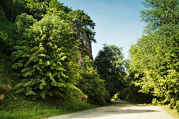 포토 JPG 해외이미지 나무 계절 도로 여행 백그라운드 자연 하늘 휴가 산 풍경 사람없음 야외 목재 초록색 파란색 햇빛 맑음 봄 바위 시골 숲 5월 장면 내추럴 우크라이나 해외202004 해외포토 식물 유럽 길 컬러 재료 교통시설 날씨 태양 돌_바위 날짜 생태계 파일형식 이미지허브