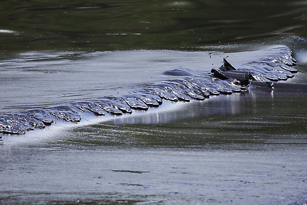 포토 JPG 해외이미지 산업 모래 파도 바다 섬 밭 태국 자연 사람없음 물 환경 검은색 손상 에너지 만 뉴스 붓기 떨어짐 석유 사건 연료 가스 충격 쏟아짐 펌프 나쁜 재앙 파이프라인 화학물질 해외202004 해외포토 자연요소 아시아 컬러 컨셉 농업 모션 화학 생태계 파이프_관 파일형식 이미지허브