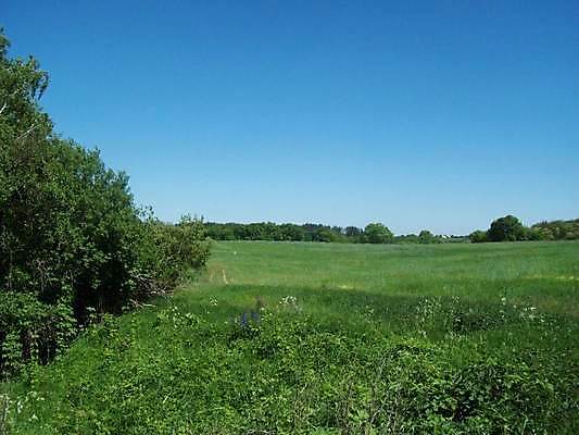 포토 JPG 해외이미지 계절 백그라운드 밭 농업 자연 하늘 풍경 사람없음 야외 초록색 여름 파란색 농장 노란색 일출 일몰 봄 시골 밀 장면 수평선 해외202004 해외포토 산업 컬러 곡류 노을 생태계 파일형식 이미지허브