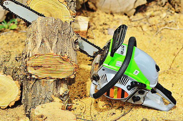 포토 JPG 해외이미지 나무 직업 손 산업 포즈 자연 노동자 수염 사람 성인 사람없음 야외 목재 빛 갈색 힘 기계 일몰 장비 공구 소나무 업무 칼날 숲 헬멧 장작 자르기 통나무 먼지 도끼 잡동사니 벌목 솜씨 수목 재주꾼 전기톱 톱밥 해외202004 해외포토 식물 컬러 재료 모션 신체부위 노을 도구 작업 보호장비 가루 생태계 톱 파일형식 이미지허브