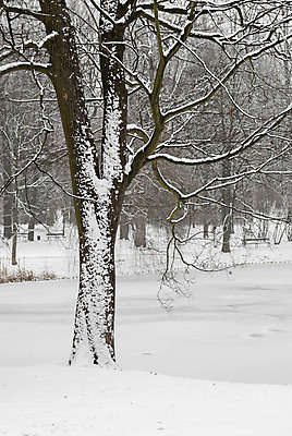 포토 JPG 해외이미지 나무 계절 공원 길 여행 백그라운드 크리스마스 겨울 자국 자연 날씨 풍경 사람없음 야외 목재 환경 냉동 침묵 산책 추위 흰색 시골 숲 오솔길 서리 장면 자작나무 폴란드 내추럴 방법 선로 폭설 눈내림 해외202004 해외포토 식물 공공시설 기념일 유럽 컬러 재료 휴식 눈_날씨 소리 자연재해 생태계 파일형식 이미지허브