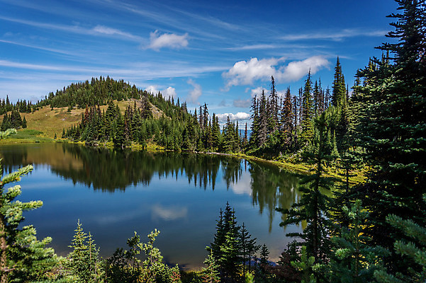 포토 JPG 해외이미지 나무 여행 자연 하늘 풍경 사람없음 하이킹 해외202004 해외포토 식물 레저 생태계 파일형식 이미지허브
