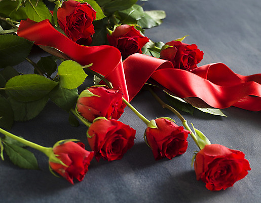 포토 JPG 해외이미지 리본 회색배경 발렌타인데이 사람없음 빨간색 하이앵글 장미 오브젝트 해외포토 꽃 뷰포인트 컬러 백그라운드 데이이벤트 회색 파일형식 이미지허브