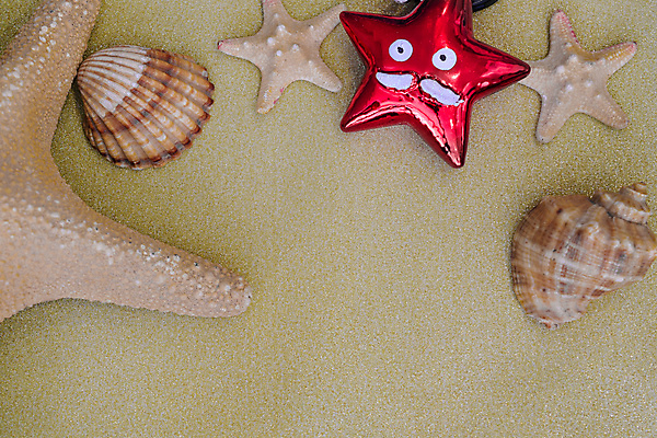 포토 JPG 해외이미지 나무 전통 계절 리본 크리스마스 겨울 추상 휴가 열대 불가사리 새로움 새해 기념 선물 사람없음 장식 빨간색 초록색 파란색 컬러풀 장난감 크리스마스트리 파티 유행 게임 흰색 축하 신용카드 생일 도박 가재 연도 오브젝트 카지노 주사위 활 포커 고립 해외202004 해외포토 식물 기념일 컬러 컨셉 무늬 놀이 극피동물 갑각류 이벤트 금융 트럼프 파일형식 이미지허브