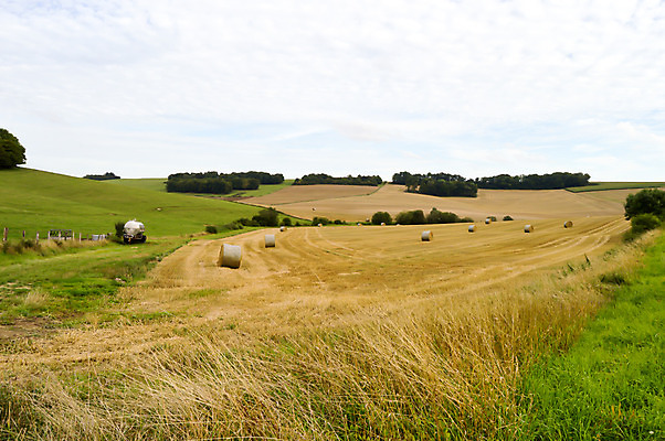 포토 JPG 해외이미지 나무 식물 구름 계절 여행 백그라운드 밭 농업 자연 하늘 파노라마 풍경 사람없음 야외 초록색 여름 파란색 태양 농장 노란색 환경 봄 프랑스 흰색 시골 땅 장면 밀짚 내추럴 수평선 해외202004 해외포토 자연요소 유럽 산업 컬러 촬영기법 짚 생태계 파일형식 이미지허브