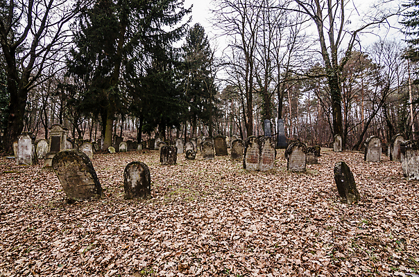 포토 JPG 해외이미지 꽃 기독교 종교 지구 백그라운드 십자가 부활절 사람없음 목재 조각상 검은색 성경 바위 기도 죽음 예수 영혼 목사 심볼 애도 신성 땅파기 신앙심 옛날 장례식 오싹 해외202004 해외포토 나무 식물 기념일 컬러 재료 종교용품 조형물 신_종교 성직자 파일형식 이미지허브