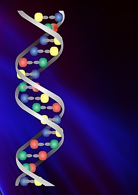 포토 JPG 해외이미지 줄기 과학 패턴 세포 나선형 건강 사람 사람없음 약 DNA 생명공학 생물학 염색체 더블 바이오 복제 유전 해외202004 해외포토 식물 교육 무늬 의학 파일형식 이미지허브