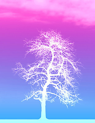 포토 JPG 해외이미지 나무 식물 구름 일러스트 자연 하늘 파노라마 미술 사람없음 야외 파란색 흰색 나뭇가지 시골 천국 발생 수평선 해외202004 해외포토 자연요소 컬러 문화예술 촬영기법 생태계 파일형식 이미지허브