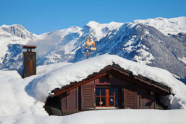 포토 JPG 해외이미지 나무 구름 라이프스타일 실루엣 유럽 지구 스포츠 여행 백그라운드 크리스마스 겨울 자연 벽지 하늘 휴가 스키 산 주택 요정 풍경 사람없음 야외 건물 목재 파란색 태양 평화 얼음 추위 흰색 신선 고급 숲 에코 서리 알프스 엽서 마법 생태학 해외202004 해외포토 자연요소 식물 건축물 계절 교육 기념일 나라 컬러 컨셉 재료 겨울스포츠 촬영기법 생활 환경 편지 생태계 파일형식 이미지허브