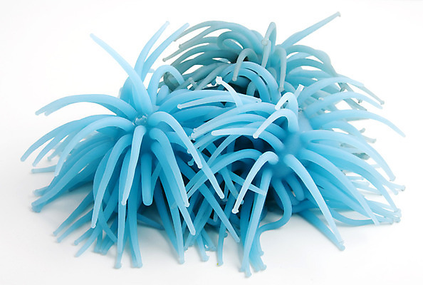 포토 JPG 해외이미지 학생 교육 어린이 공 학교 사람없음 스터디 컬러풀 교사 집중 장애 주목 해외202004 해외포토 직업 컬러 컨셉 사람 학습 파일형식 이미지허브