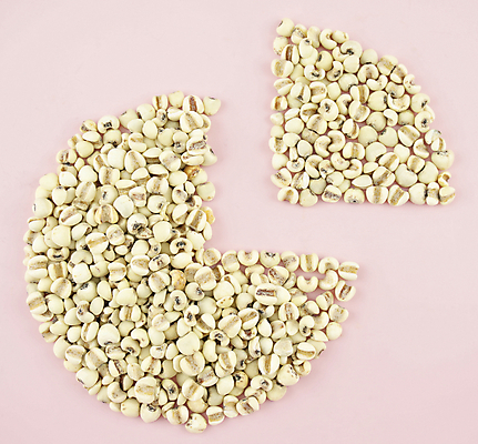 포토 JPG 해외이미지 음식 백그라운드 건조 씨앗 동양인 사람없음 흰색 원형 시리얼 유기농 질감 해외202004 해외포토 도형 식물 웰빙 컬러 인종 파일형식 이미지허브