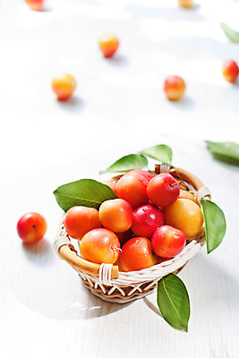 포토 JPG 해외이미지 계절 음식 잎 다이어트 과일 재료 자연 탁자 디저트 건강 사람없음 목재 초록색 물 여름 노란색 바구니 보라색 주스 젖음 수확 흰색 신선 그룹 사발 달콤 맛 떨어짐 유혹 자르기 먹기 상쾌 유기농 날것 자두 흙더미 숙성 채식주의자 해외202004 해외포토 자연요소 나무 식물 웰빙 감정 음료 컬러 가구 컨셉 농업 모션 흙 사기그릇 생태계 채식 파일형식 더미 이미지허브