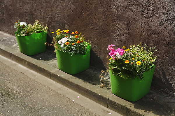 포토 JPG 해외이미지 식물 꽃 유럽 화분 도로 독일 사람없음 초록색 오솔길 플라스틱 유럽연합 해외202004 해외포토 나라 길 컬러 교통시설 재질 파일형식 이미지허브