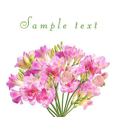 포토 JPG 해외이미지 식물 계절 꽃잎 꽃 잎 꽃무늬 자연 수채화 부활절 사랑 사람없음 야외 초록색 여름 빛 우주 정원 봄 투명 개화 우아함 작음 자주색 제비꽃 향수 속도 만족 아로마 내추럴 고립 땅바닥 사프란 특별함 해외202004 해외포토 기념일 감정 컬러 컨셉 무늬 바닥 화장품 크기 향신료 생태계 파일형식 이미지허브