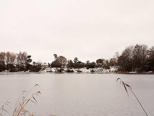 포토 JPG 해외이미지 나무 계절 공원 호수 여행 백그라운드 겨울 밭 자연 하늘 표면 날씨 휴가 풍경 사람없음 야외 물 빛 강 햇빛 반사 냉동 얼음 침묵 추위 흰색 연못 황무지 숲 시원함 서리 장면 대야 눈내림 해외202004 해외포토 자연요소 식물 공공시설 컬러 농업 눈_날씨 태양 소리 생태계 파일형식 이미지허브