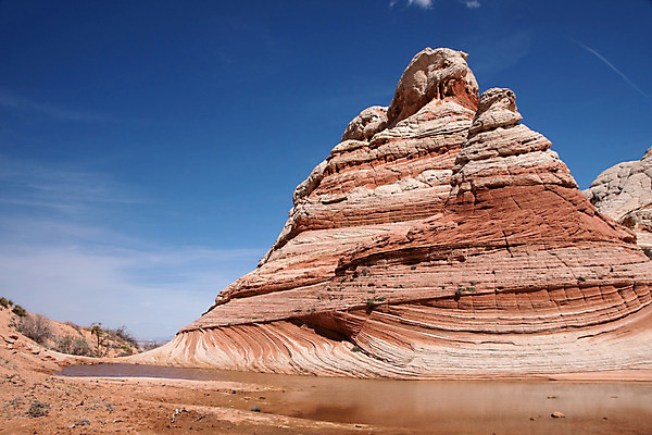 포토 JPG 해외이미지 북아메리카 자연 산 풍경 사람없음 빨간색 골짜기 계곡 미국 봄 사막 바위 흰색 황무지 주머니 애리조나 해외202004 해외포토 계절 컬러 아메리카 돌_바위 생태계 파일형식 이미지허브