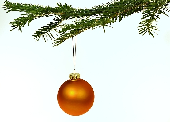 포토 JPG 해외이미지 백그라운드 크리스마스 겨울 오렌지 공 휴가 사람없음 장식 초록색 장식볼 흰색 나뭇가지 소나무 황금 자르기 전나무 고립 크리스마스이브 해외202004 해외포토 나무 계절 기념일 컬러 과일 모션 파일형식 이미지허브
