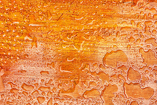 포토 JPG 해외이미지 나무 디자인 백그라운드 패턴 자연 탁자 표면 날씨 추상 바닥 사람없음 목재 물 빛 반사 갈색 주방 거품 젖음 판넬 얼룩 투명 액체 붓기 닫기 떨어짐 매끈함 이슬 갑판 구슬 순수 묘사 질감 분무기 내추럴 수목 해외202004 해외포토 자연요소 식물 컬러 가구 컨셉 무늬 배_교통 재료 모션 감각 생태계 파일형식 이미지허브