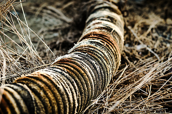 포토 JPG 해외이미지 건조 사람없음 질감 가뭄 생태학 옛날 해외202004 해외포토 교육 날씨 파일형식 이미지허브