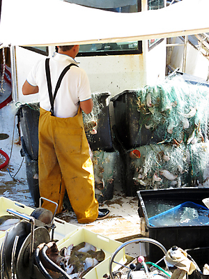 포토 JPG 해외이미지 모래 바다 요트 낚시 조개 사람없음 항구 껍질 보트 해외202004 해외포토 배_교통 교통시설 레저 어패류 파일형식 이미지허브