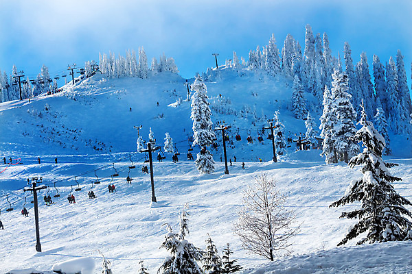 포토 JPG 해외이미지 나무 계절 여행 겨울 자연 스키 산 풍경 경사 사람없음 야외 미국 폭포 흰색 소나무 정상 숲 언덕 내추럴 워싱턴 절정 눈내림 해외202004 해외포토 식물 컬러 북아메리카 겨울스포츠 눈_날씨 생태계 파일형식 이미지허브