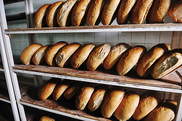 포토 JPG 해외이미지 빵 공장 쟁반 실내 사람없음 저장 진열장 일렬 해외202004 해외포토 음식 공업 내부 파일형식 이미지허브