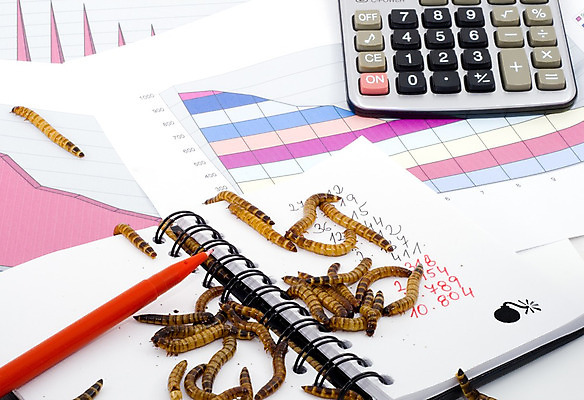 포토 JPG 해외이미지 종이 비즈니스 통계 그래프 사람없음 금융 경제 사무실 숫자 펜 자료 계산기 정보 기록 계산 시장 벌레 계획 주식 인쇄 가격 분석 묘사 속도 보고서 파일 투자 공유 회계 파산 진행 경영 해외202004 해외포토 문자 곤충 컨셉 문구용품 필기구 장비 파일형식 이미지허브