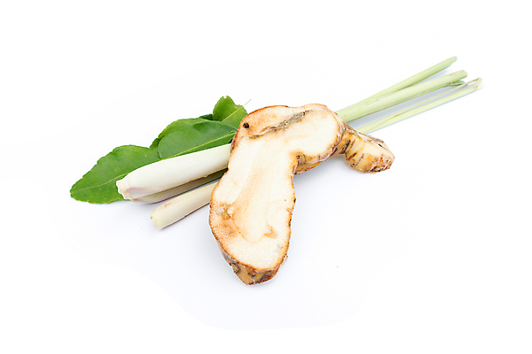 포토 JPG 해외이미지 식물 아시아 문화 음식 백그라운드 잎 채소 재료 태국 자연 고추 파프리카 건강 요리 사람없음 빨간색 초록색 약 흰색 신선 뜨거움 양념 수프 결합 레몬 허브 유기농 매움 라임 내추럴 고립 해외202004 해외포토 웰빙 나라 컬러 과일 의학 맛 생태계 파일형식 이미지허브