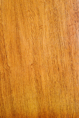 포토 JPG 해외이미지 나무 디자인 선 벽 백그라운드 패턴 자연 바닥 사람없음 야외 건물 목재 갈색 문 어둠 반지 널 상품 찬장 입장 묘사 시작 유기농 질감 날것 목공예 잡동사니 정맥 내추럴 리듬 스크랩북 해외202004 해외포토 식물 건축물 웰빙 컬러 가구 무늬 재료 장신구 공예 생태계 혈관 파일형식 이미지허브