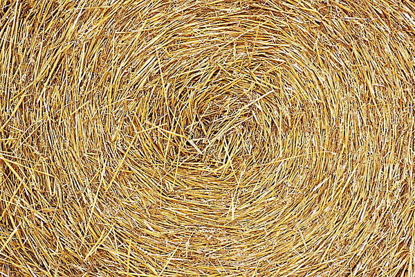 포토 JPG 해외이미지 식물 계절 산업 음식 벽 백그라운드 패턴 농업 자연 벽지 추상 건조 사람없음 여름 농작물 햇빛 농장 갈색 노란색 쌓기 수확 소용돌이 시골 황금 건초더미 볏짚 밀 다발 질감 장면 뭉치 밀짚 내추럴 밭일 압축 호밀 해외202004 해외포토 컬러 무늬 모션 곡류 태양 회오리 건초 짚 생태계 파일형식 더미 이미지허브