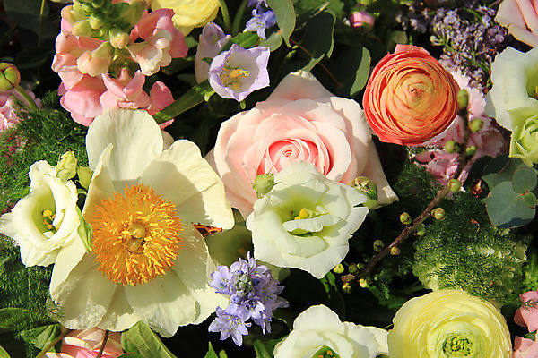 포토 JPG 해외이미지 식물 꽃잎 꽃 분홍색 꽃다발 결혼 백그라운드 자연 결혼식 사랑 사람없음 장식 초록색 파란색 장미 보라색 흰색 그룹 배열 작약 파스텔톤 해외202004 해외포토 감정 컬러 이벤트 생태계 파일형식 이미지허브