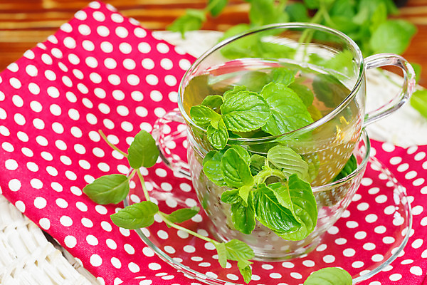 포토 JPG 해외이미지 식물 전통 라이프스타일 음료 백그라운드 컨셉 잎 재료 자연 유리 탁자 건강 사람없음 목재 컵 초록색 우주 활발 머그컵 신선 조끼 뜨거움 투명 액체 아침식사 냄비 찻주전자 이슬람교 민트 허브 상쾌 날것 아로마 해외202004 스피아민트 해외포토 나무 식기 감정 종교 컬러 가구 재질 주전자 생활 식사 외투 솥 생태계 파일형식 이미지허브