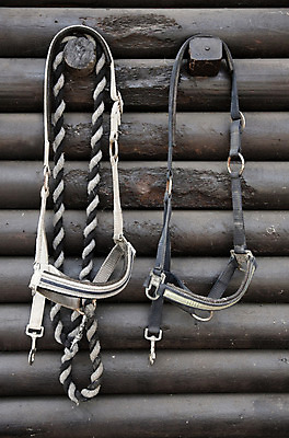 포토 JPG 해외이미지 동물 밧줄 스포츠 농업 교통시설 안내 사람없음 반려동물 농장 머리 상점 경쟁 목장 시골 승마 시장 승차 가죽 전시회 조랑말 안장 굴레 매각 옛날 총구 해외202004 해외포토 산업 줄 교통 컨셉 모션 신체부위 전시 말_동물 시설 파일형식 이미지허브