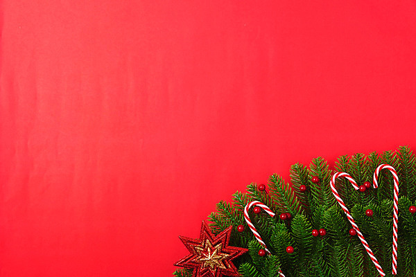 포토 JPG 해외이미지 나무 계절 백그라운드 컨셉 크리스마스 겨울 패턴 공 벽지 탁자 휴가 새로움 프레임 미술 이벤트 사람없음 장식 빨간색 컬러풀 장난감 유행 축제 장식볼 나뭇가지 축하 소나무 플랫 정상 연도 레이아웃 초대 머리위 꽃가루 위치 전나무 구성 정물화 목업 힙스터 미니멀 해외202004 해외포토 식물 패션 기념일 컬러 가구 무늬 문화예술 가루 그림 파일형식 이미지허브