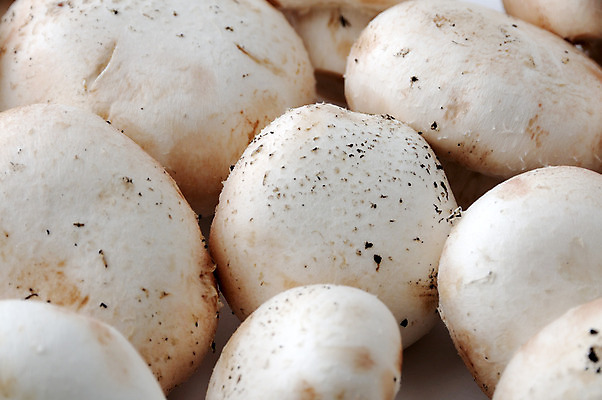 포토 JPG 해외이미지 음식 채소 재료 건강 사람없음 농장 쌓기 버섯 흰색 신선 그룹 맛 유기농 날것 흙더미 제비 내추럴 해외202004 해외포토 웰빙 컬러 컨셉 농업 모션 조류 흙 파일형식 더미 이미지허브