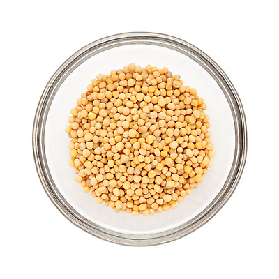 포토 JPG 해외이미지 그릇 사람없음 흰색 낟알 향신료 겨자씨 해외202004 해외포토 식기 컬러 씨앗 향미료 파일형식 이미지허브