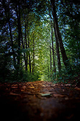 포토 JPG 해외이미지 길 사람없음 오솔길 해외202004 해외포토 파일형식 이미지허브