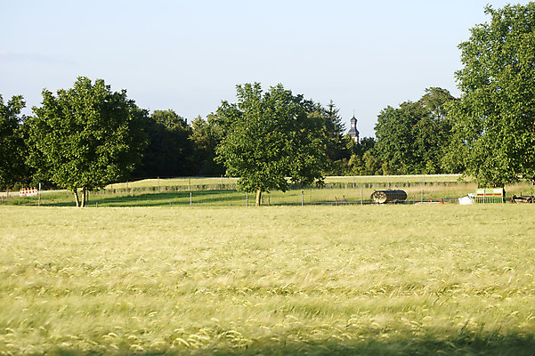 포토 JPG 해외이미지 나무 식물 시계 밭 농업 하늘 옥수수 풍경 사람없음 울타리 교회 장비 공구 시골 낟알 밀 탱크 수납 밭일 해외202004 해외포토 산업 종교건축 곡류 건물 담장 도구 파일형식 이미지허브