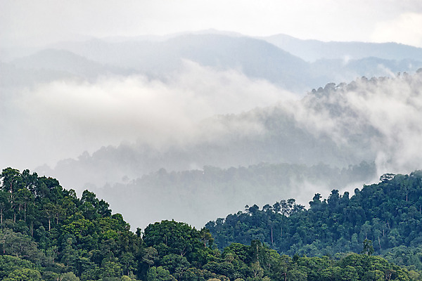 포토 JPG 해외이미지 계절 야생동물 여행 백그라운드 겨울 자연 아침 날씨 산 안테나 풍경 사람없음 야외 환경 캠핑 하이킹 추위 안개 가을 황무지 정상 숲 고도 배낭여행 층 멀리 슬로프 내추럴 뿌연 오지 절정 산맥 해외202004 해외포토 주간 동물 통신 레저 스키장 생태계 파일형식 이미지허브