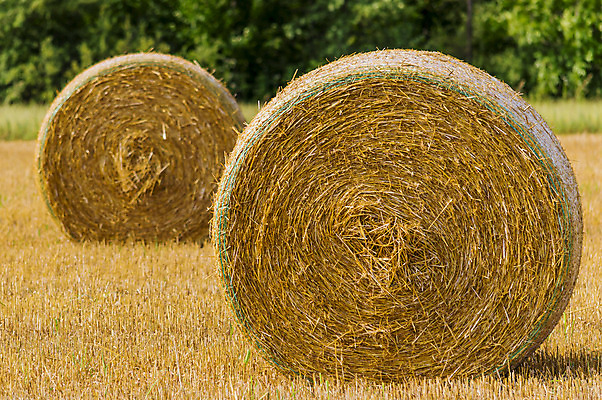 포토 JPG 해외이미지 농업 사람없음 노란색 시골 볏짚 해외202004 해외포토 산업 컬러 짚 파일형식 이미지허브